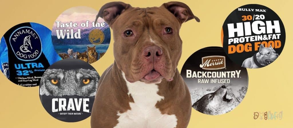 Best Dog Food for Pitbulls Reviews