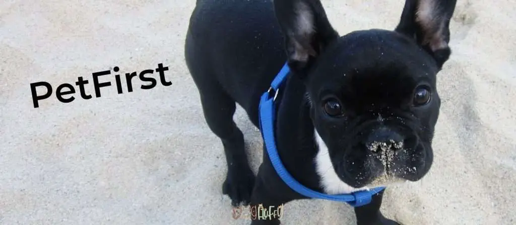 PetFirst - Best Pet Insurance For French Bulldogs
