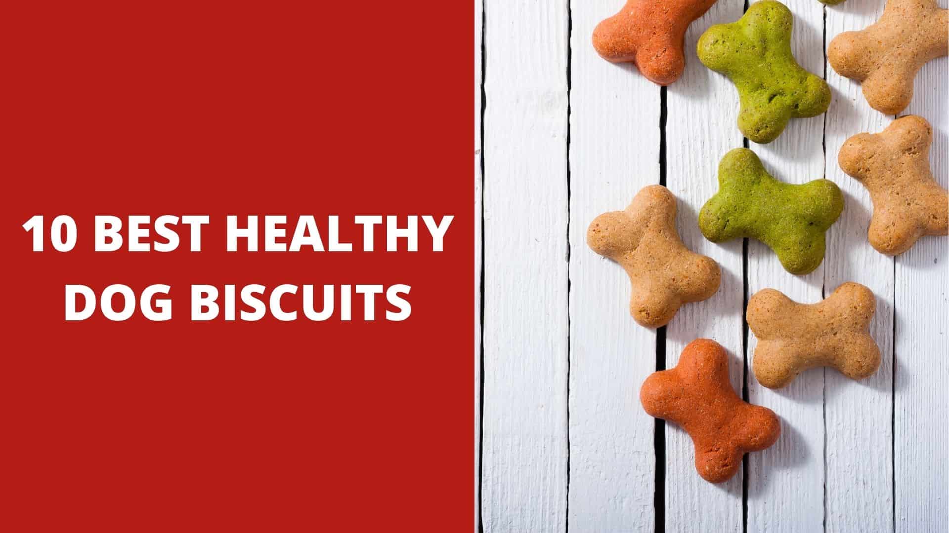 10 Best Healthy Dog Biscuits