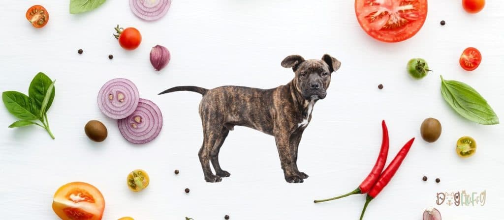 What human food can Pitbulls eat