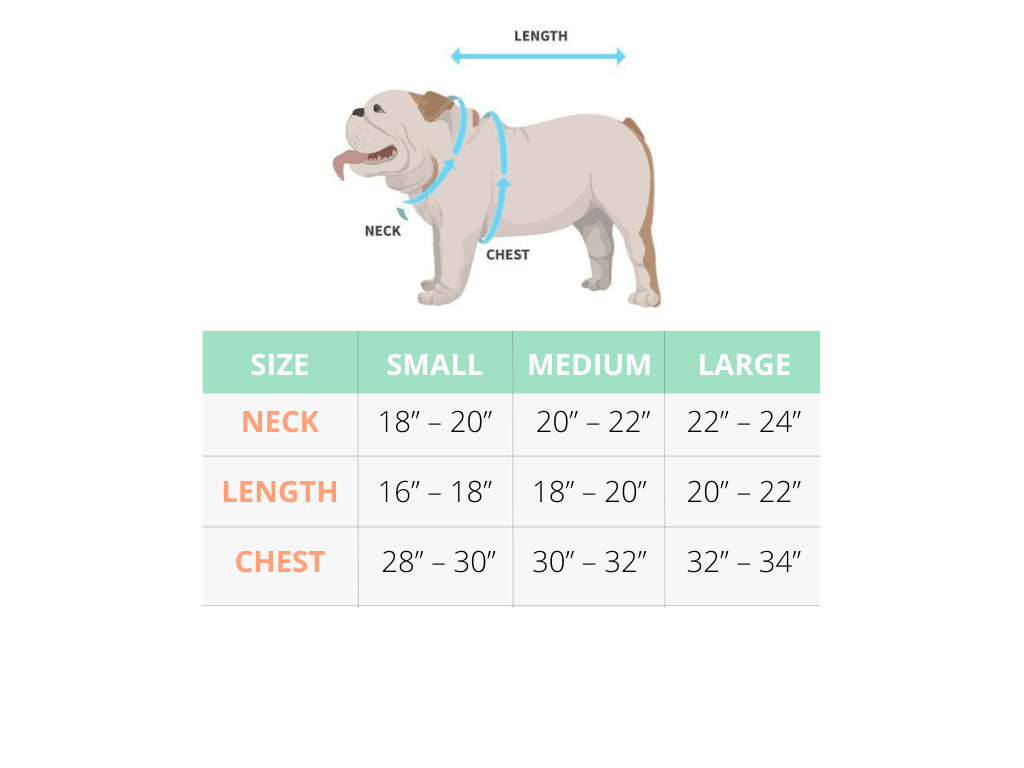 how much should a english bulldog weight at 5 months