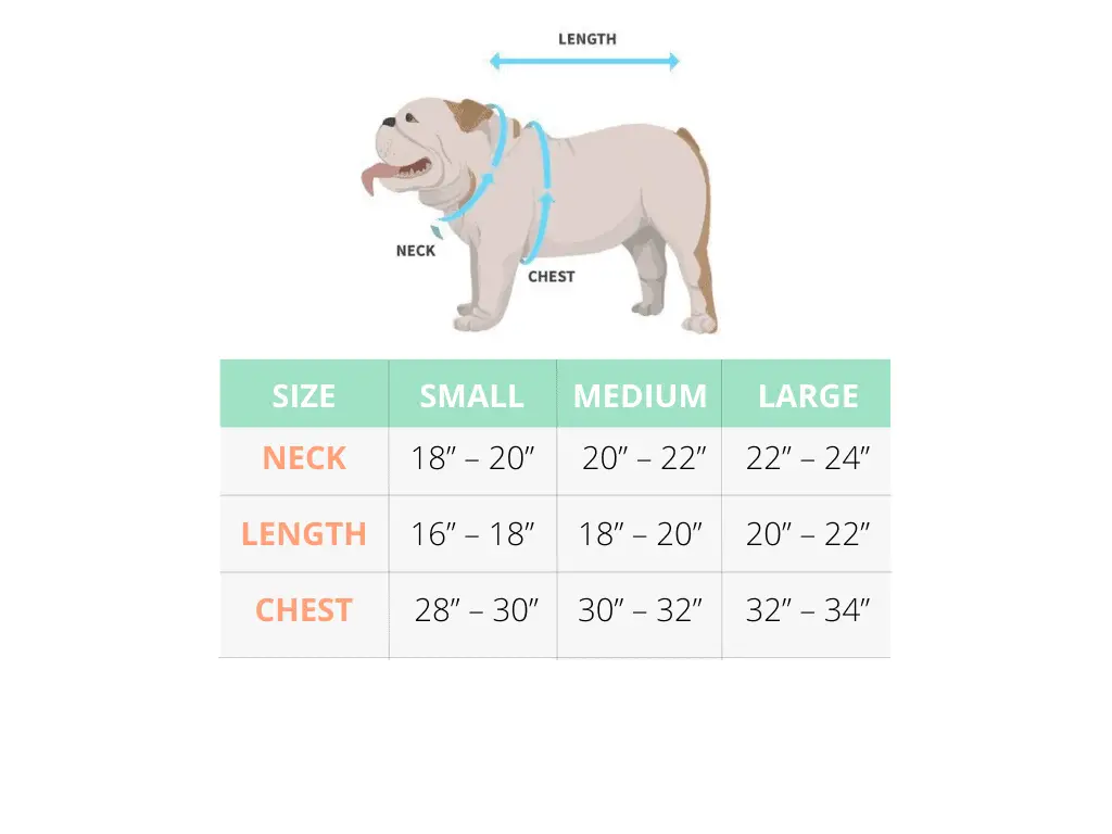 English Bulldog Size Chart​ - Dog Fluffy