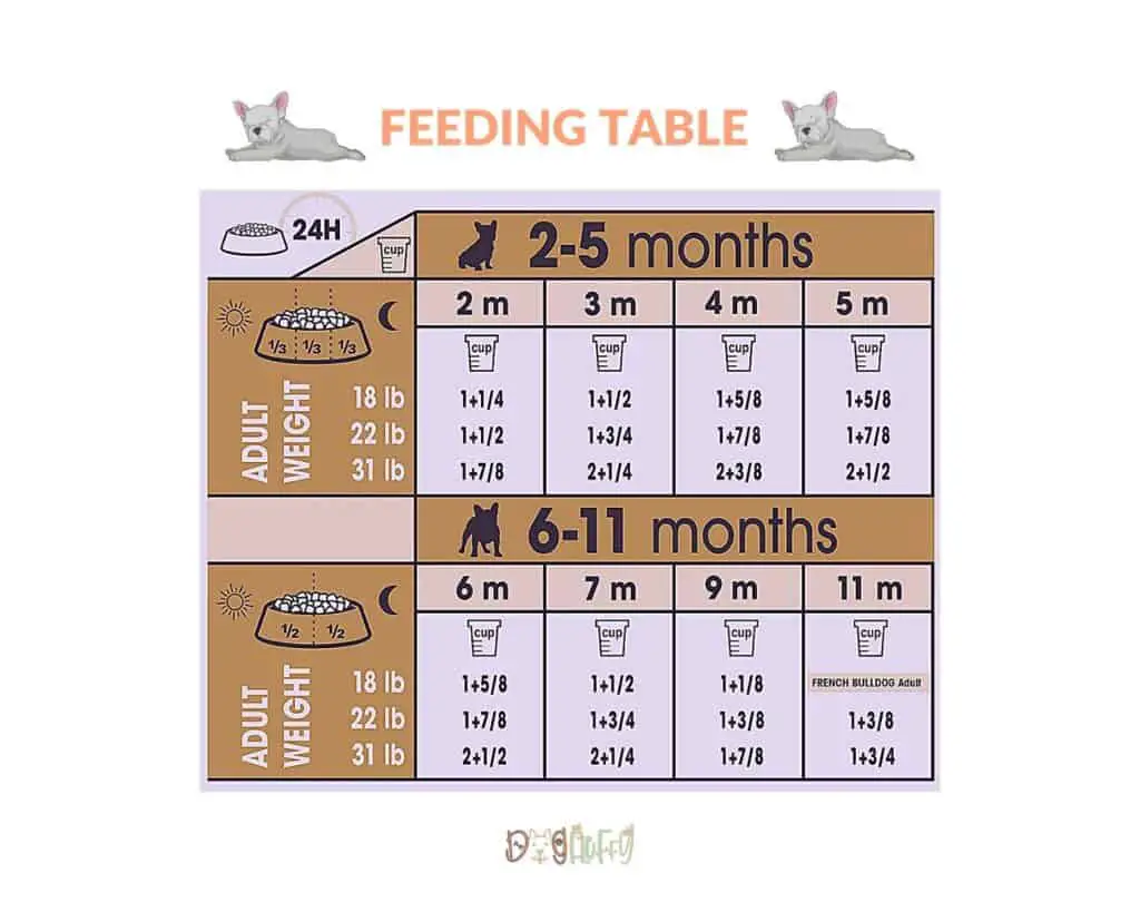 How much should I feed my French Bulldog puppy? - Feeding Table