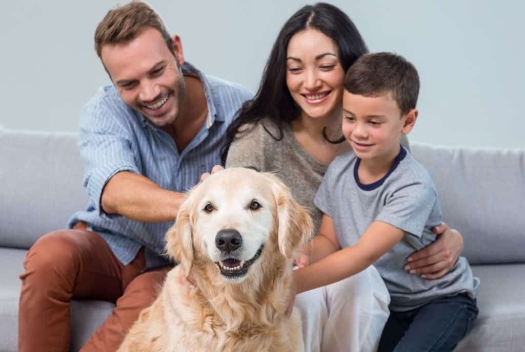 How Should New Dog Parents Improve Their Relationship With Their Pet?