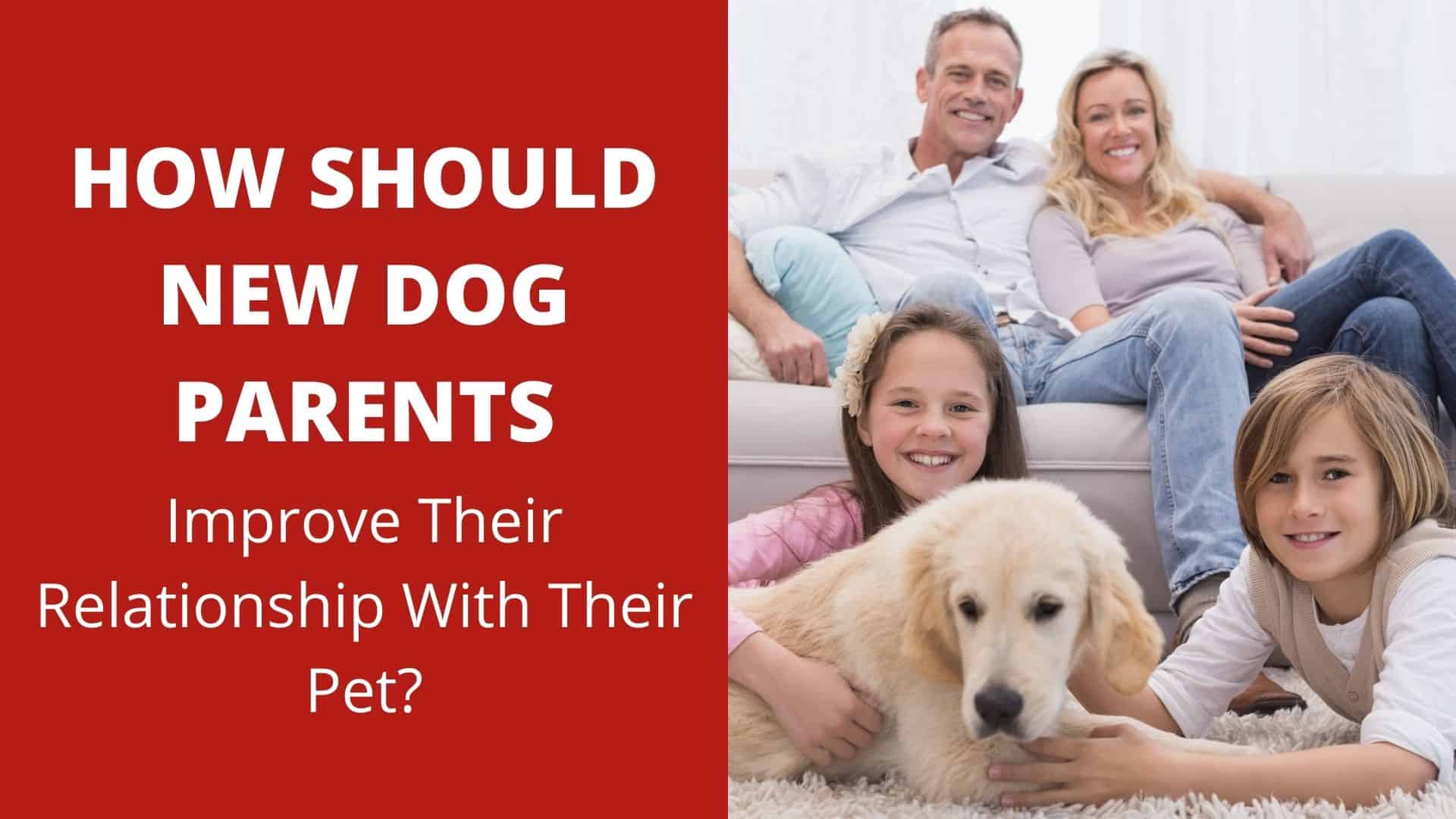 How Should New Dog Parents Improve Their Relationship With Their Pet?
