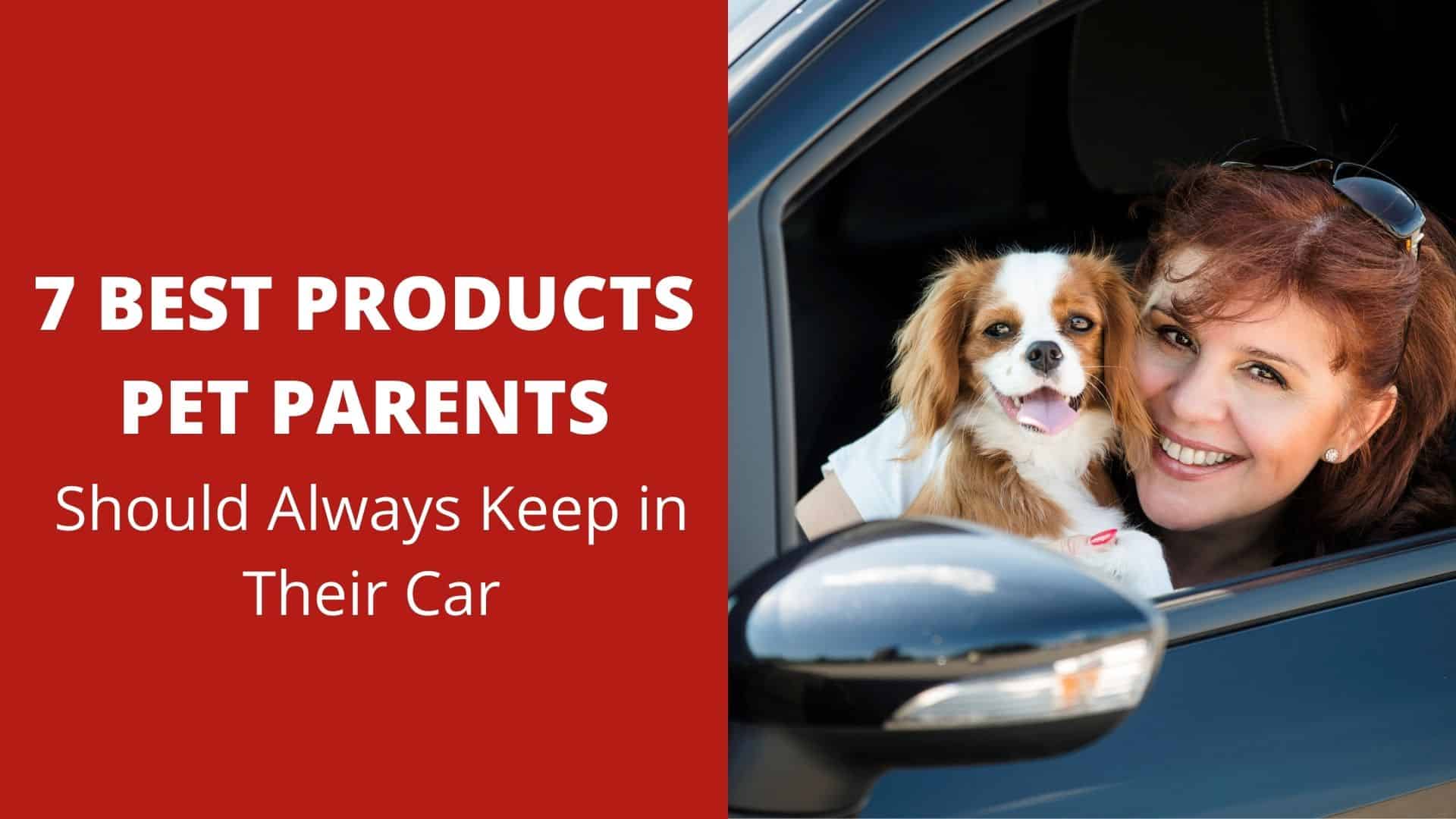 7 Best Products Pet Parents Should Always Keep in Their Car