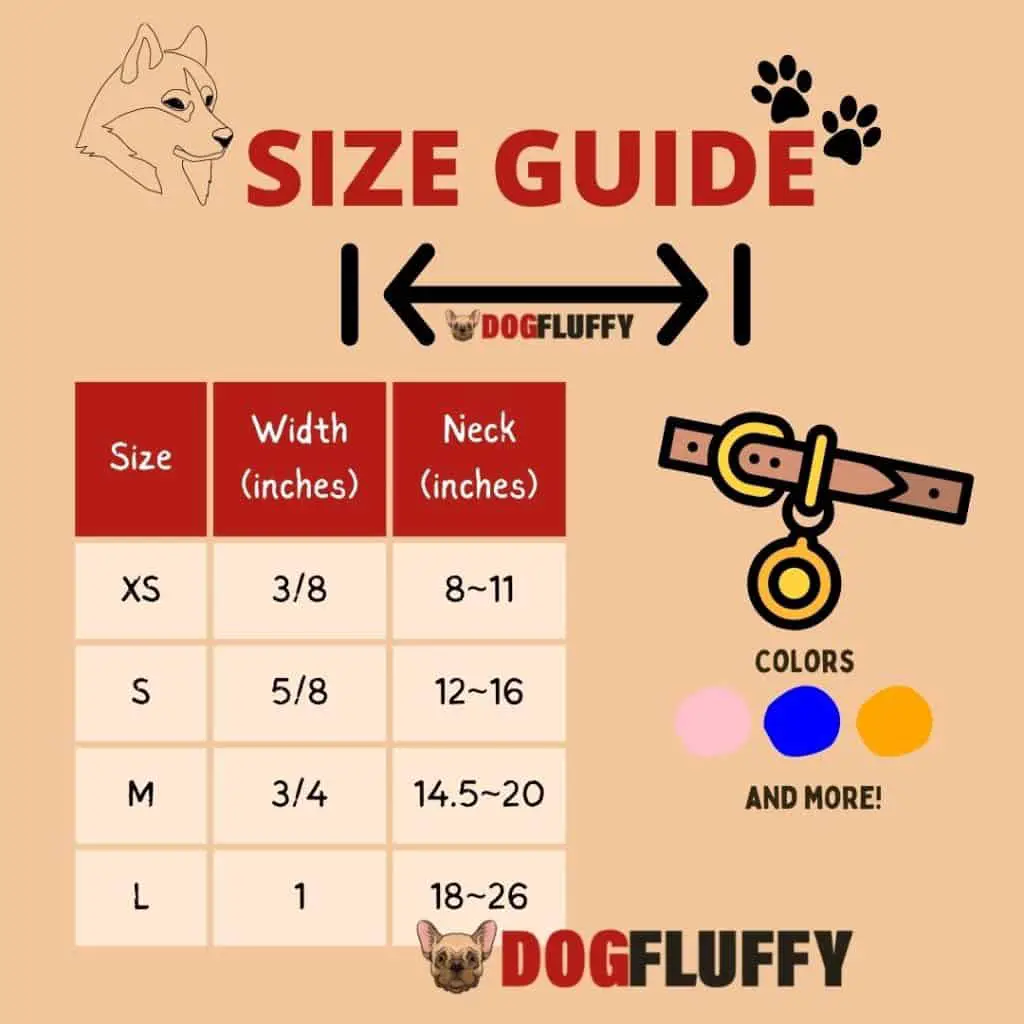 Best Collar for Siberian Husky - Size Guide