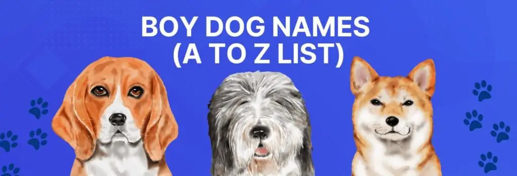 Boy Dog Names - (A to Z List)