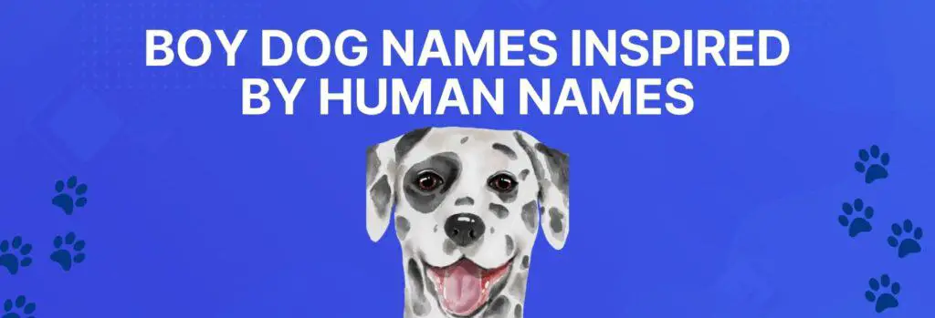 Boy Dog Names Inspired by Human Names