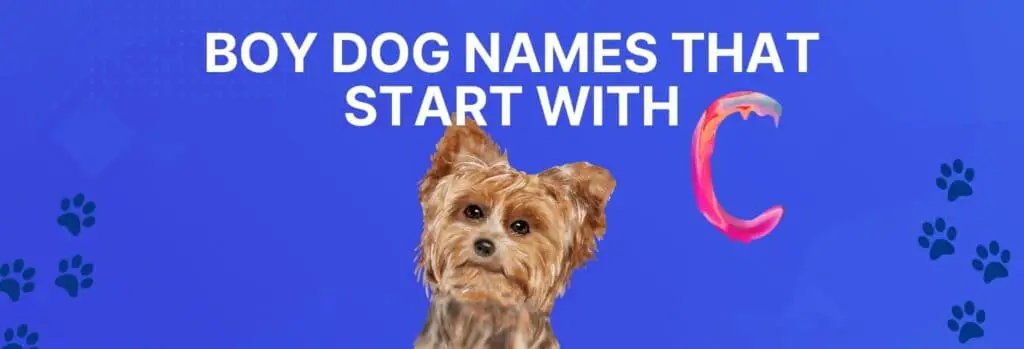 Boy Dog Names that Start with C