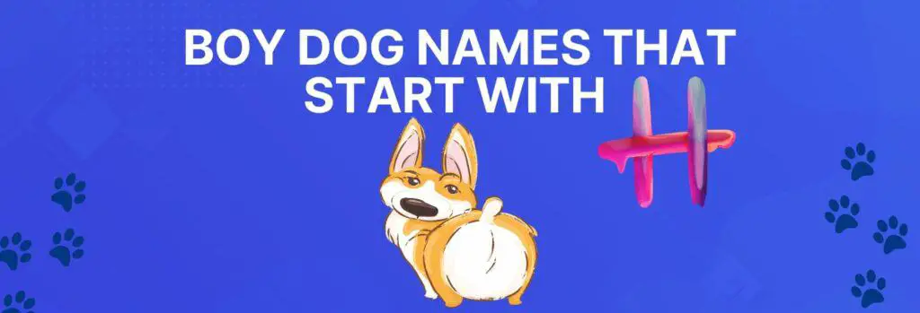 Boy Dog Names that Start with H