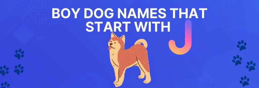 Boy Dog Names that Start with J
