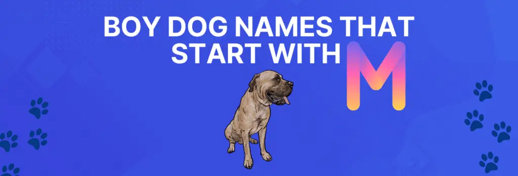 Boy Dog Names that Start with M