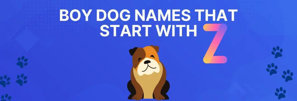 Boy Dog Names that Start with Z
