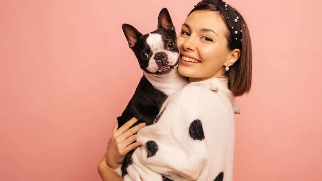 How Long Has Female Frenchie Lived? - Female Frenchie Lifespan