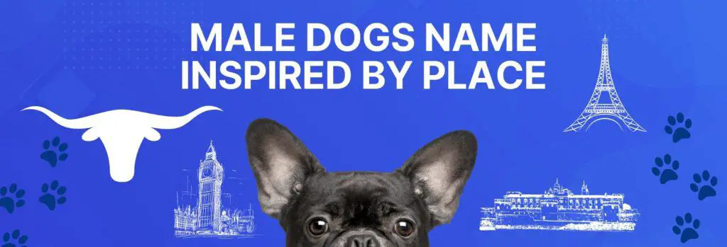 Male Dogs Name Inspired by Place