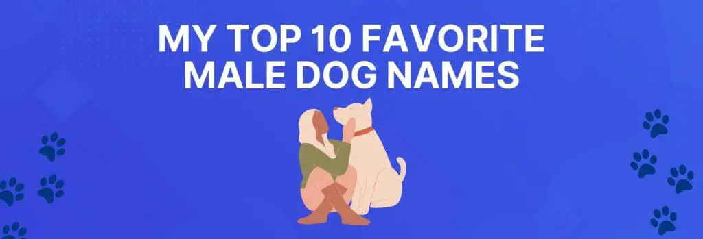 My Top 10 Favorite Male Dog Names
