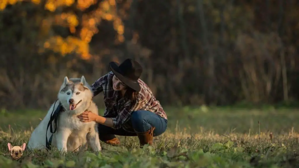 The Personality of The Siberian Husky