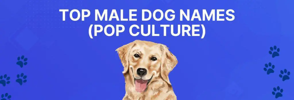 Top Male Dog Names (Pop Culture)