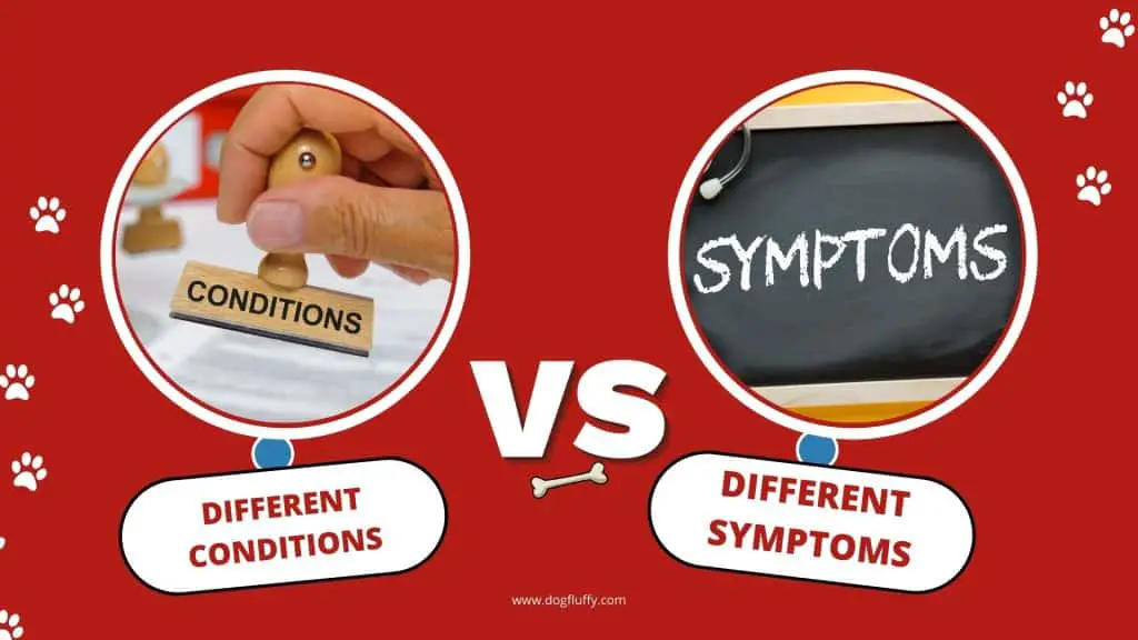 Different Conditions with Different Symptoms