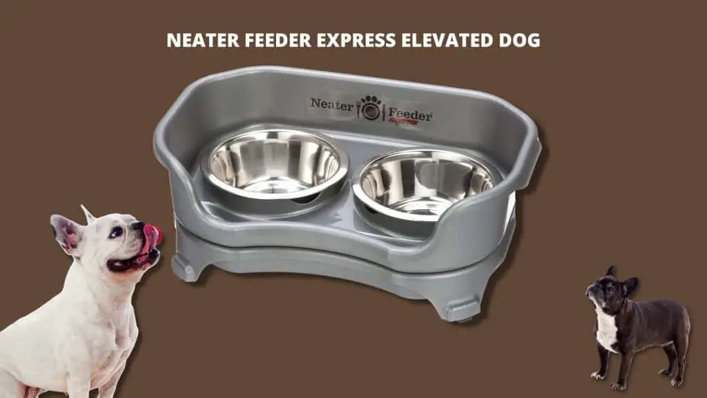 Neater Feeder Express Elevated Dog