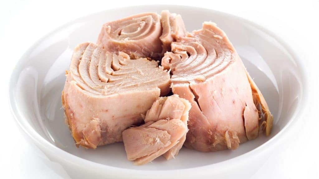 What Is in Tuna That Makes It A Good Food Choice for Dogs?