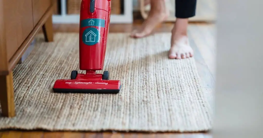 6 Best Carpet Cleaners for Dogs Review Section