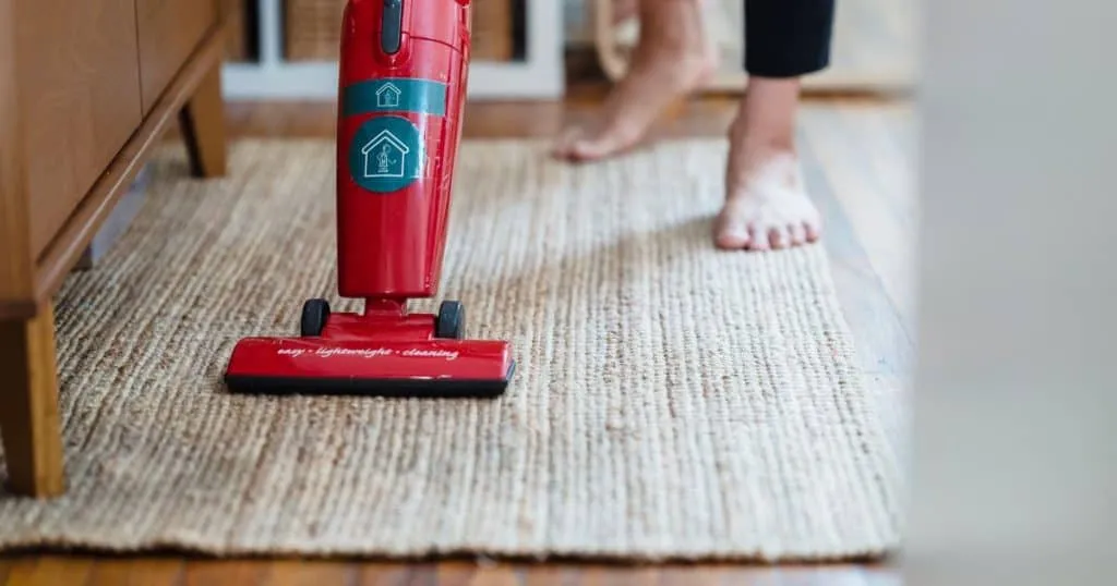 6 Best Carpet Cleaners for Dogs Review Section