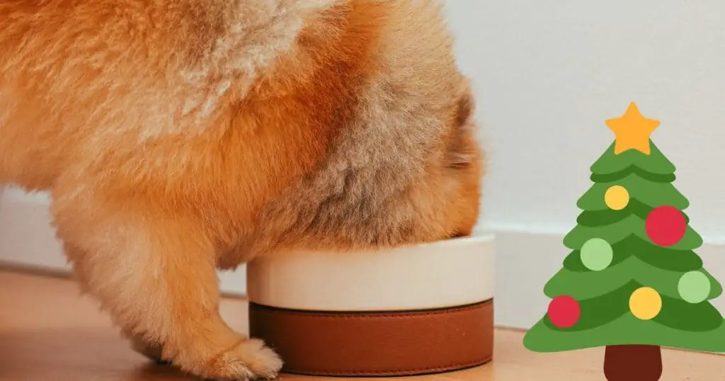 Best Homemade Dog Tasty Treats to Please Your Dog This Christmas