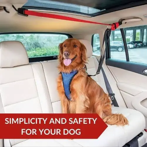Best Value (PetSafe) - Best Car Zipline Harness For Dogs