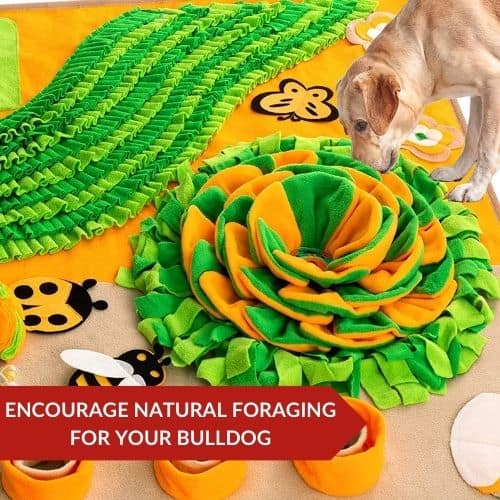 Best Value (Snuffle Mat) - Exercise Equipment For Your Bulldog