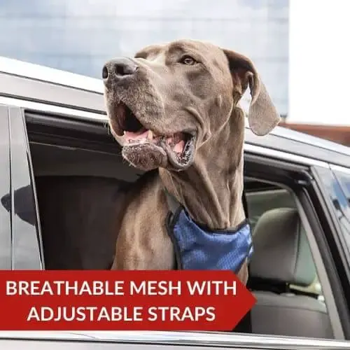 Editor's Choice (PetSafe Happy Ride) - Best Car Zipline Harness For Dogs