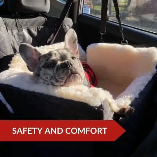 Editor's Choice (Snoozer Pet Car Seat) - Best Car Seats For French Bulldogs