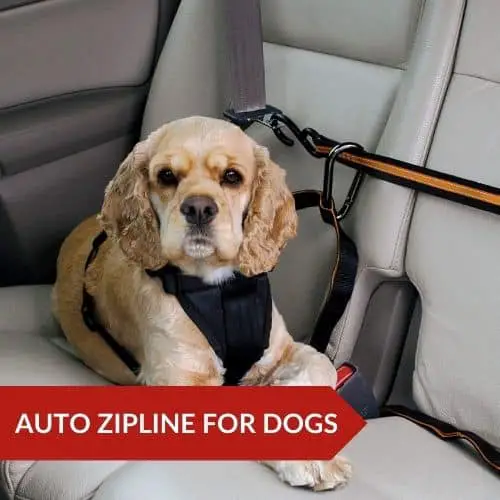 Top Pick (Kurgo Auto Zipline for Dogs) - Best Car Zipline Harness For Dogs