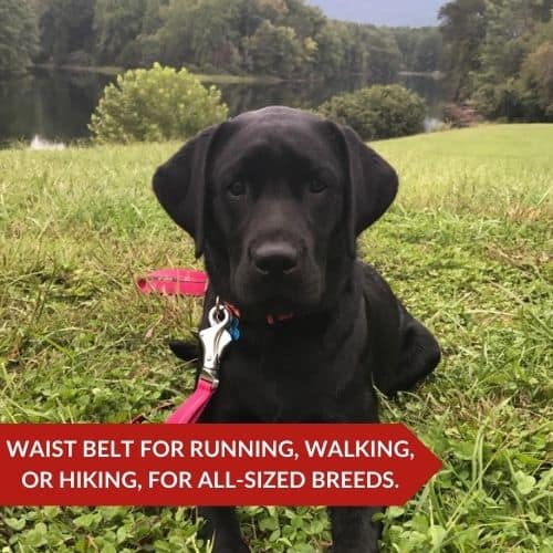 Top Pick (RUFFWEAR Flat Out Dog Leash) - Best Leash For Training A Dog