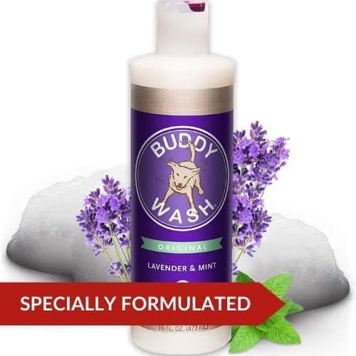 Best Value (Buddy Wash Dog Shampoo) - Dog Shampoo For Sensitive Skin