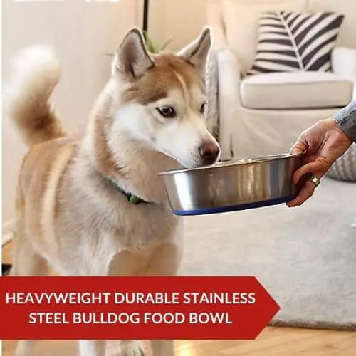 Best Value (DuraPet Bulldog Food Bowl Slow Feed) - Best Bulldog Food Bowls For Your Fluffy