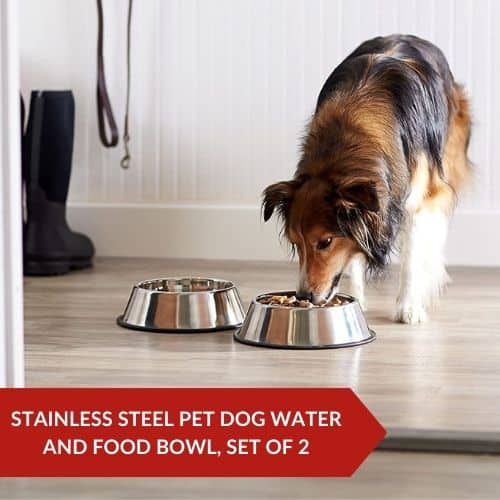 12 Best Bulldog Food Bowls For Your Fluffy 2 Editor's Choice (Amazon Basics Stainless Steel Bulldog Food Bowl) - Best Bulldog Food Bowls For Your Fluffy