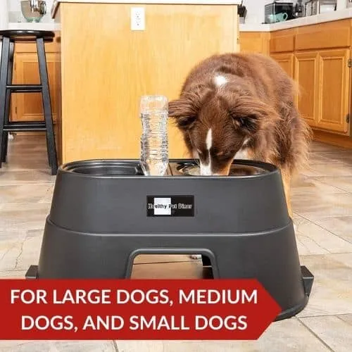 12 Best Bulldog Food Bowls For Your Fluffy 1 Top Pick (OurPets Comfort Elevated Bulldog Food Bowl) - Best Bulldog Food Bowls For Your Fluffy