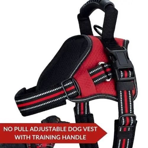 Top Pick (Wealer Dog Harness) - Escape Prevention Harness For Your Bulldog