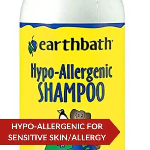 Top Pick (earthbath Hypoallergenic Dog Shampoo) - Dog Shampoo For Sensitive Skin