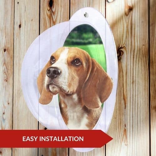 Best Value (Downtown Pet) - Dog Window Guards