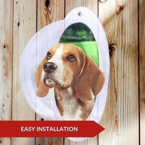 Best 6 Dog Window Guards 3 Best Value (Downtown Pet) - Dog Window Guards