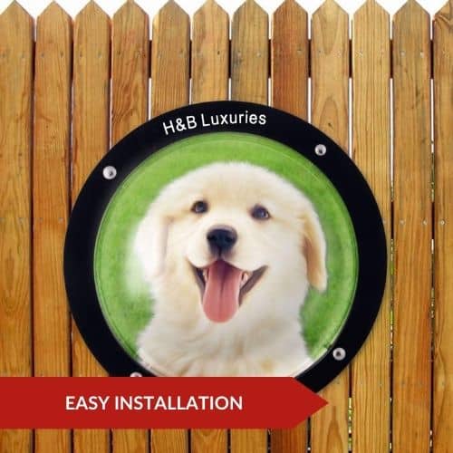 Top Pick (H&B Luxuries) - Dog Window Guards