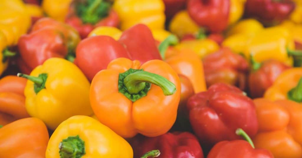 Can Dogs Eat Bell Peppers? Risks of Bell Peppers - INTIMG