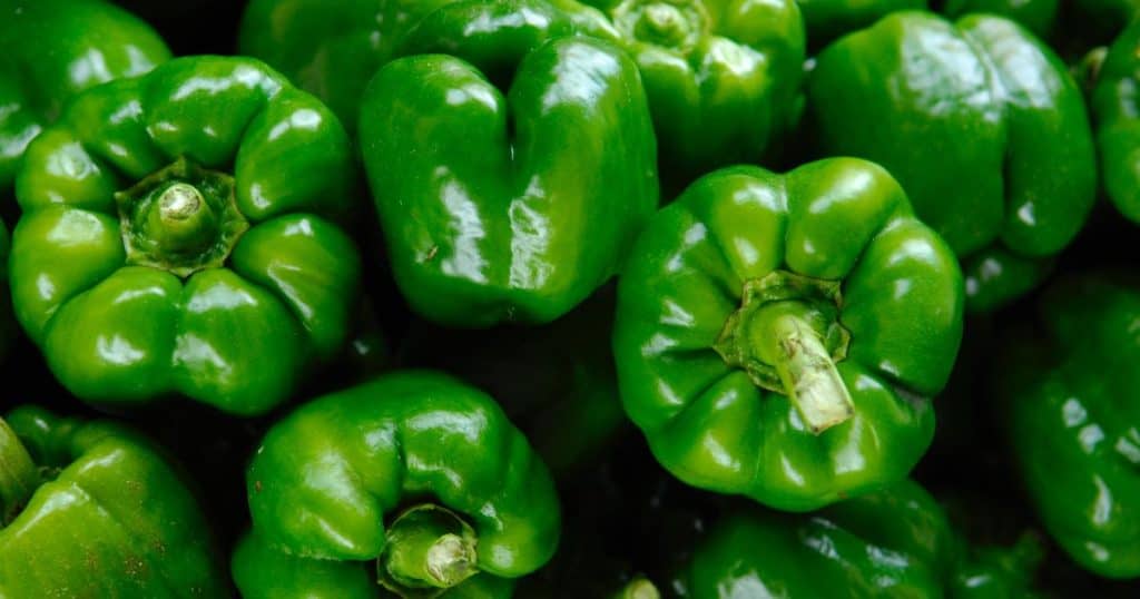 Can Dogs Eat Bell Peppers and Are Safe for Your Dog? - INTIMG