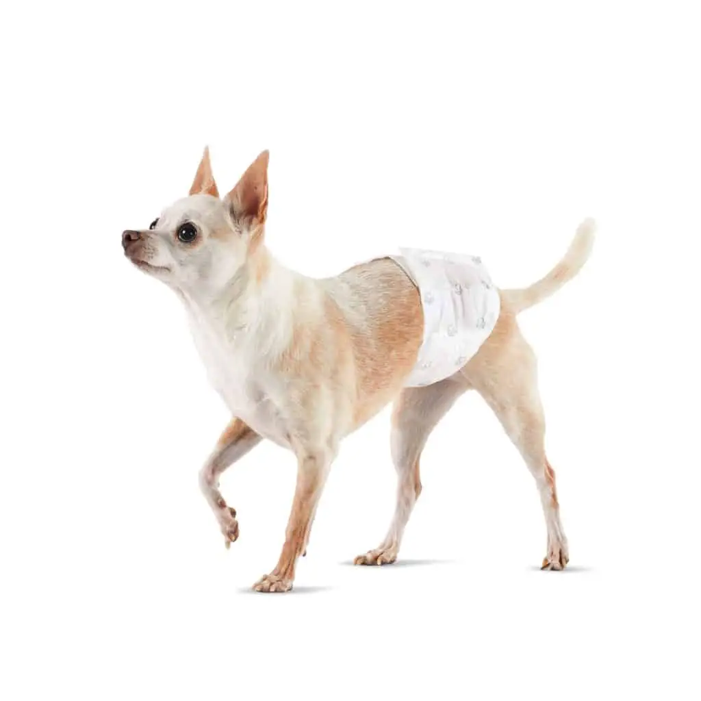 Amazon Basics Male Dog Wrap, Disposable Diapers
