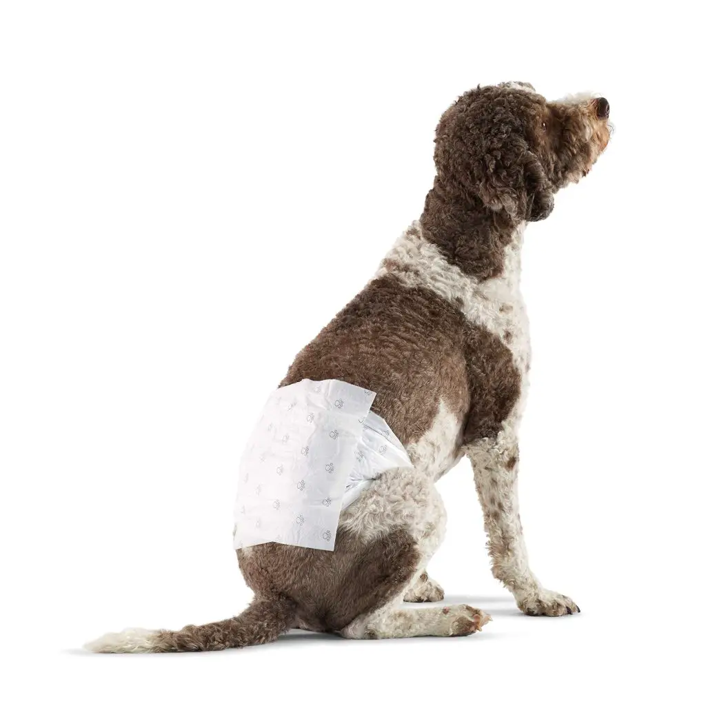 Amazon Basics Male Dog Wrap, Disposable Diapers