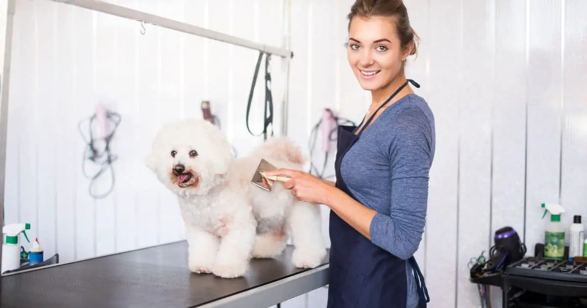 Best Brush for Fluffy Dogs: Unleash the Ultimate Grooming Guide