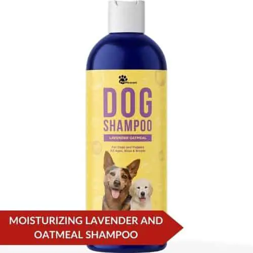 Best Value (Cleansing Dog Shampoo for Smelly Dogs) - Best Flea Shampoo For Puppies Under 12 Weeks